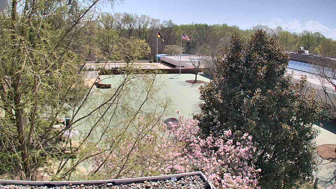 Thumbnail for current weather camera view from German School of Washington in Potomac, Maryland