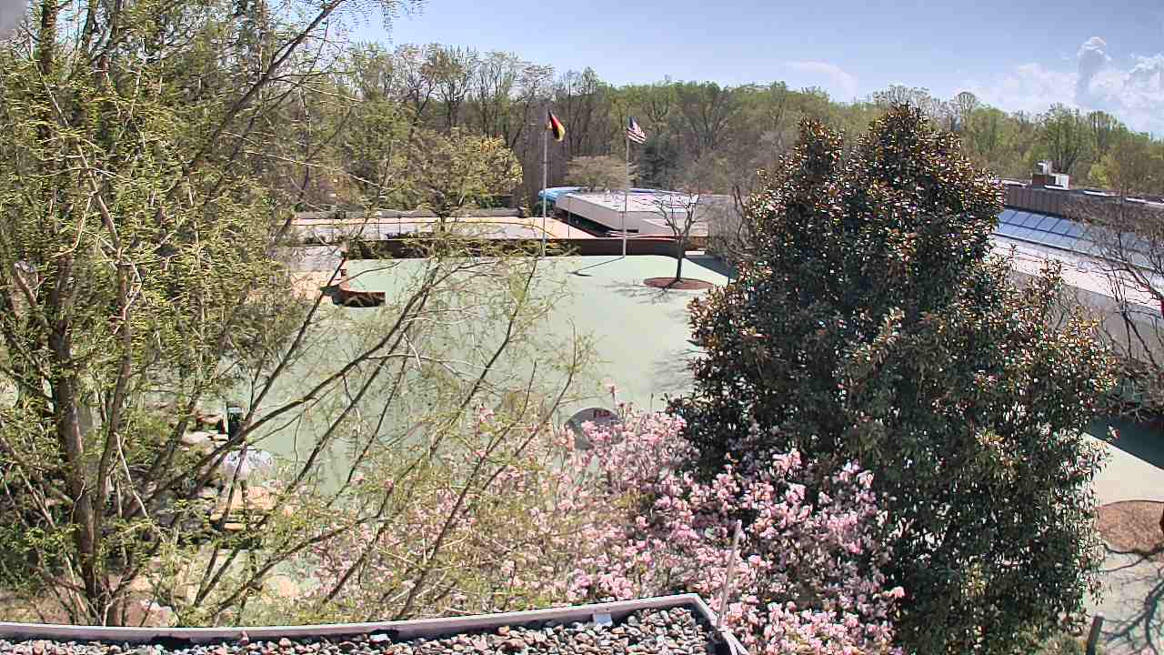 Thumbnail for current weather camera view from German School of Washington in Potomac, Maryland
