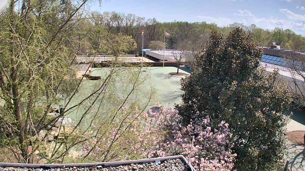 Thumbnail for current weather camera view from German School of Washington in Potomac, Maryland