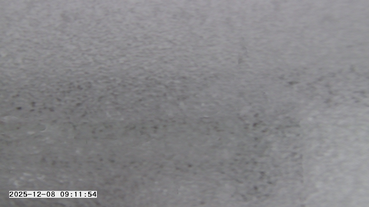 Thumbnail for current weather camera view from St. Michael Catholic School in Prior Lake, Minnesota