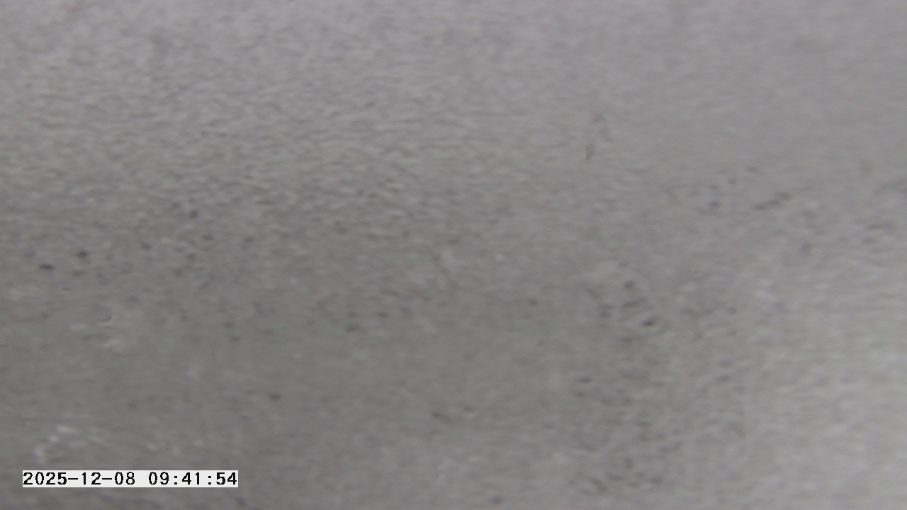 Thumbnail for current weather camera view from St. Michael Catholic School in Prior Lake, Minnesota