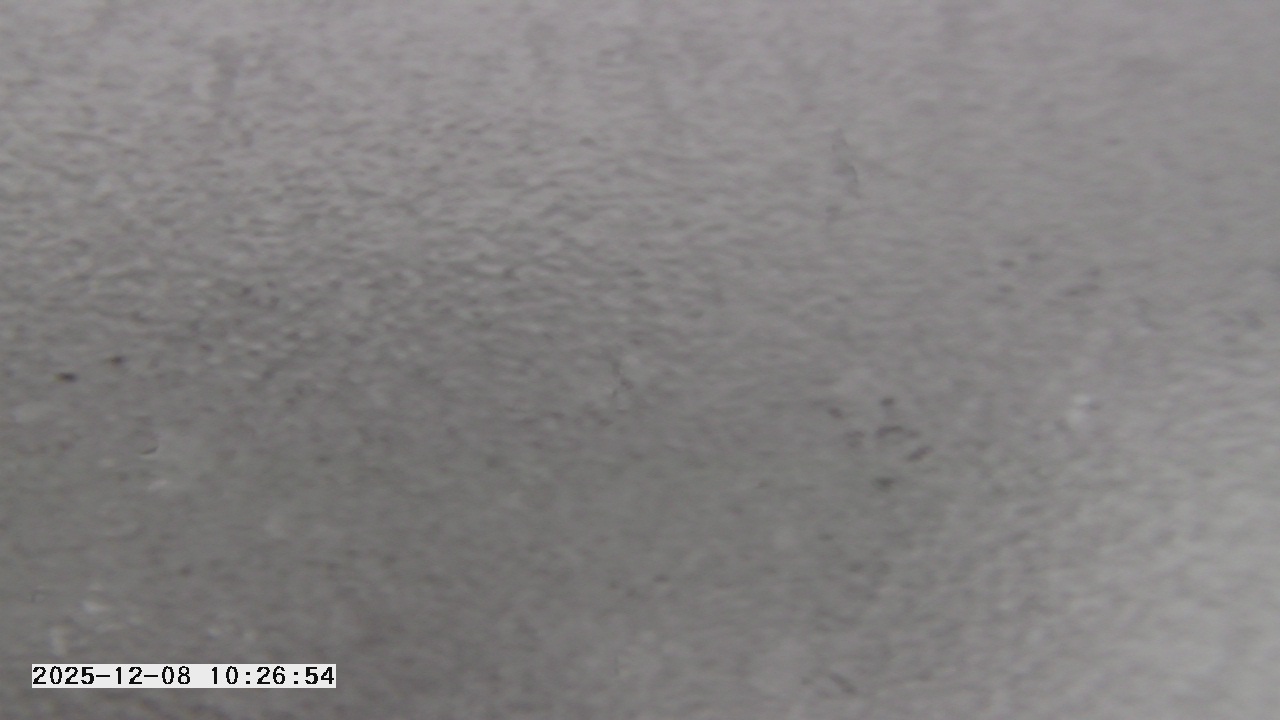 Thumbnail for current weather camera view from St. Michael Catholic School in Prior Lake, Minnesota