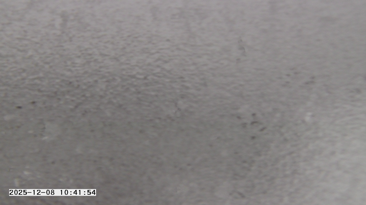 Thumbnail for current weather camera view from St. Michael Catholic School in Prior Lake, Minnesota