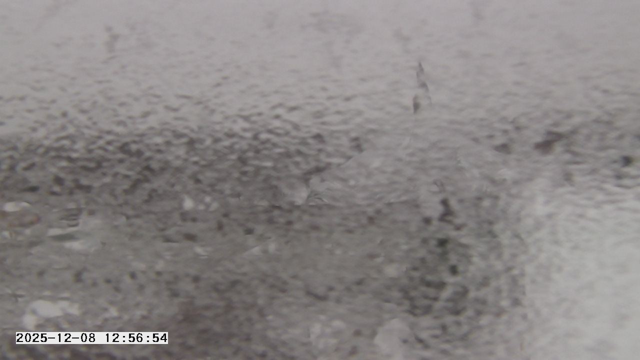 Thumbnail for current weather camera view from St. Michael Catholic School in Prior Lake, Minnesota