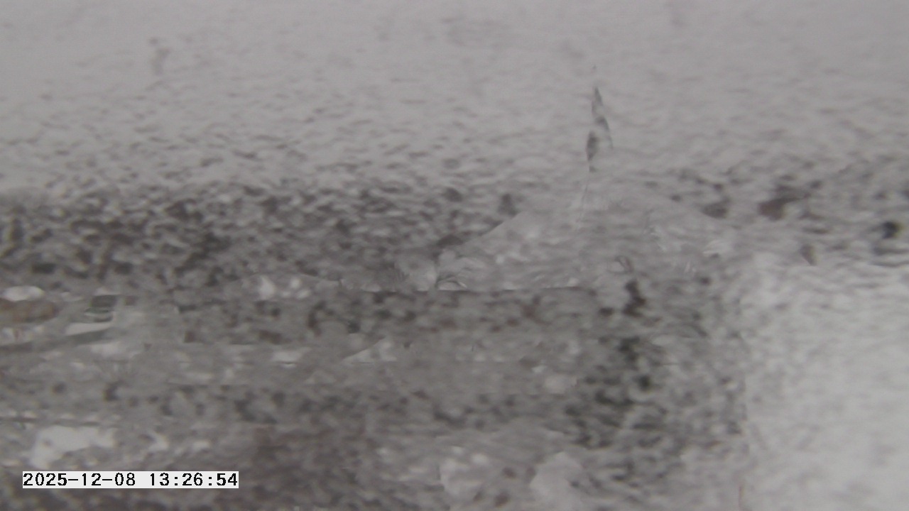 Thumbnail for current weather camera view from St. Michael Catholic School in Prior Lake, Minnesota