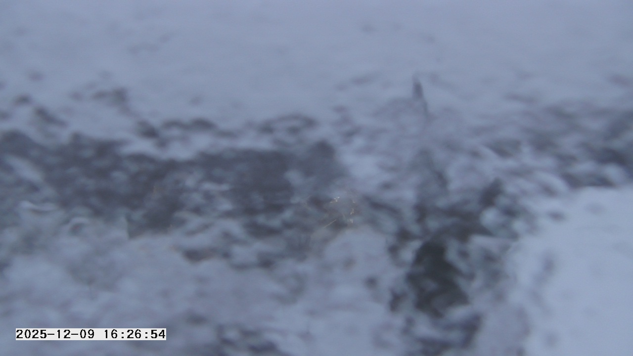 Thumbnail for current weather camera view from St. Michael Catholic School in Prior Lake, Minnesota