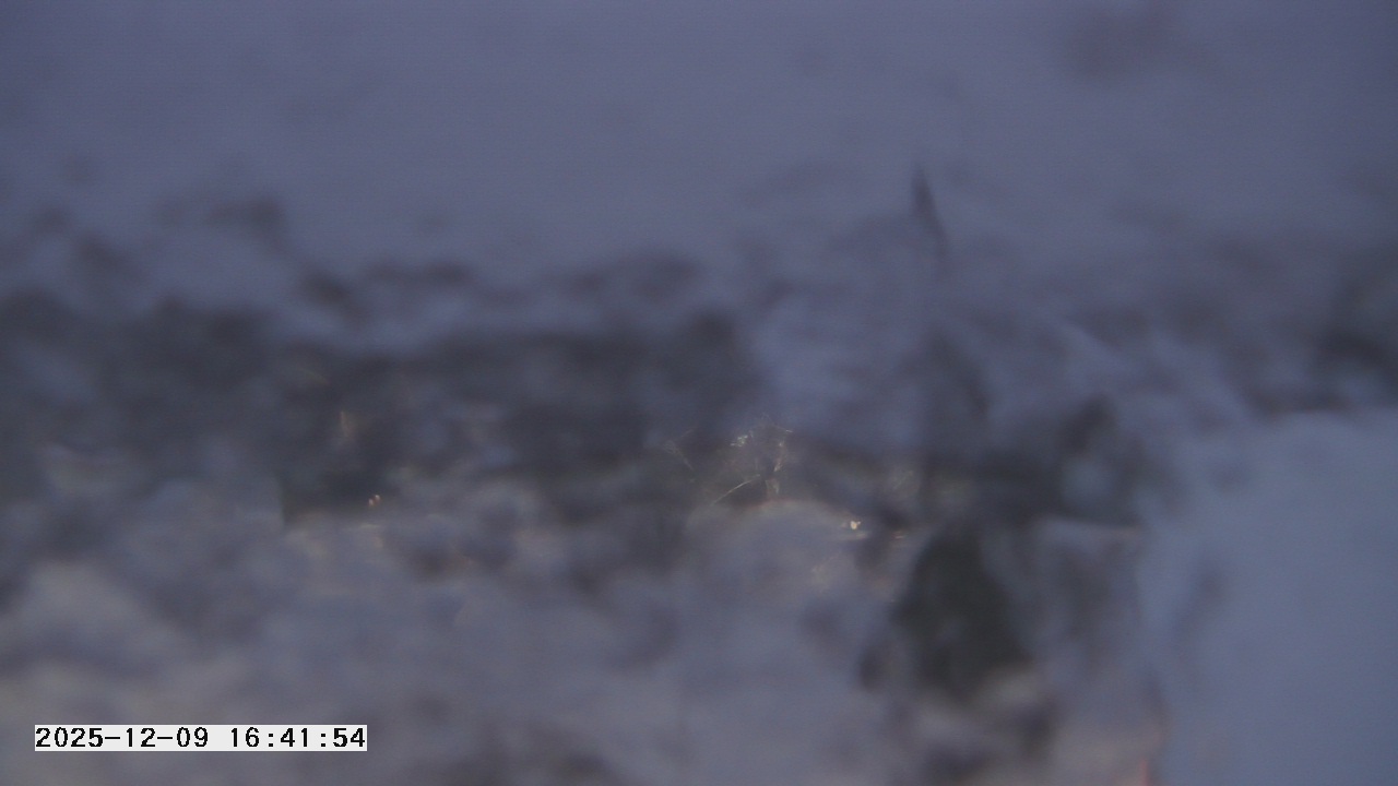 Thumbnail for current weather camera view from St. Michael Catholic School in Prior Lake, Minnesota