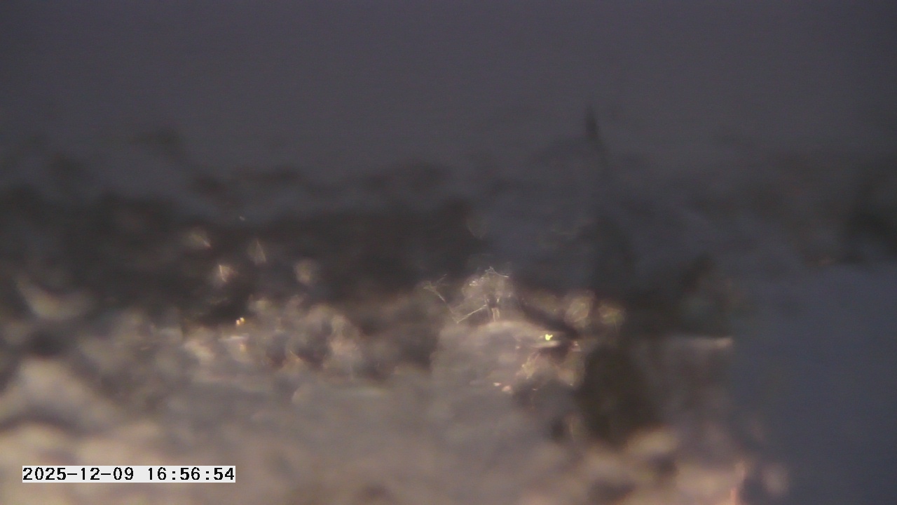 Thumbnail for current weather camera view from St. Michael Catholic School in Prior Lake, Minnesota