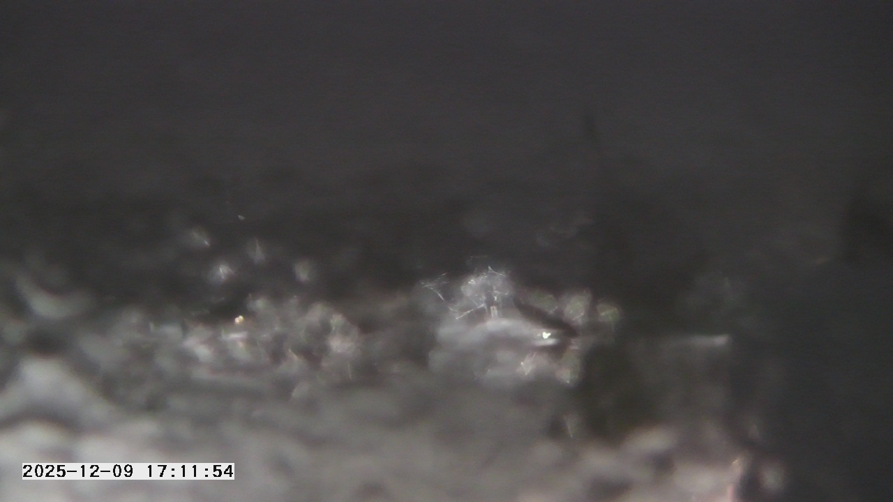 Thumbnail for current weather camera view from St. Michael Catholic School in Prior Lake, Minnesota