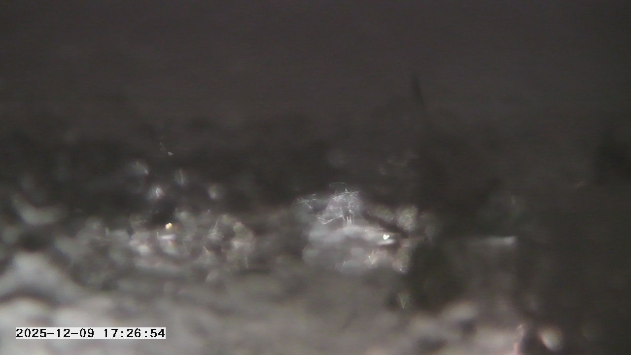 Thumbnail for current weather camera view from St. Michael Catholic School in Prior Lake, Minnesota