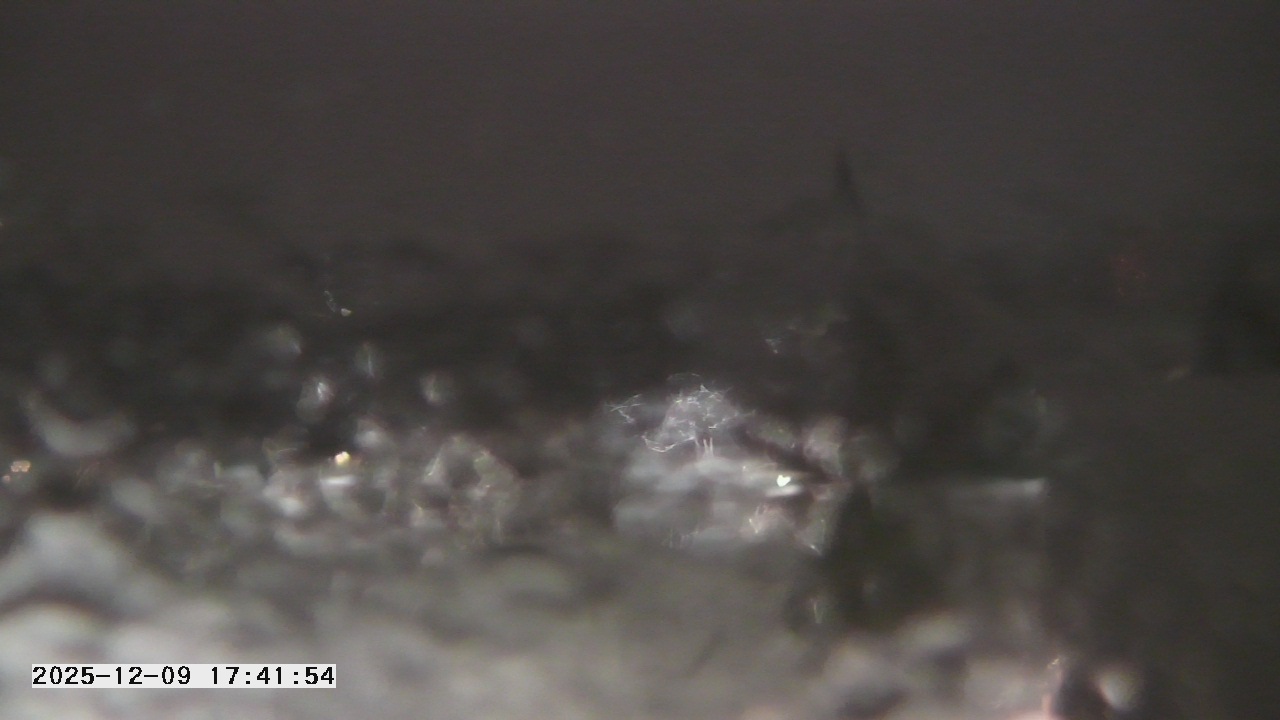 Thumbnail for current weather camera view from St. Michael Catholic School in Prior Lake, Minnesota