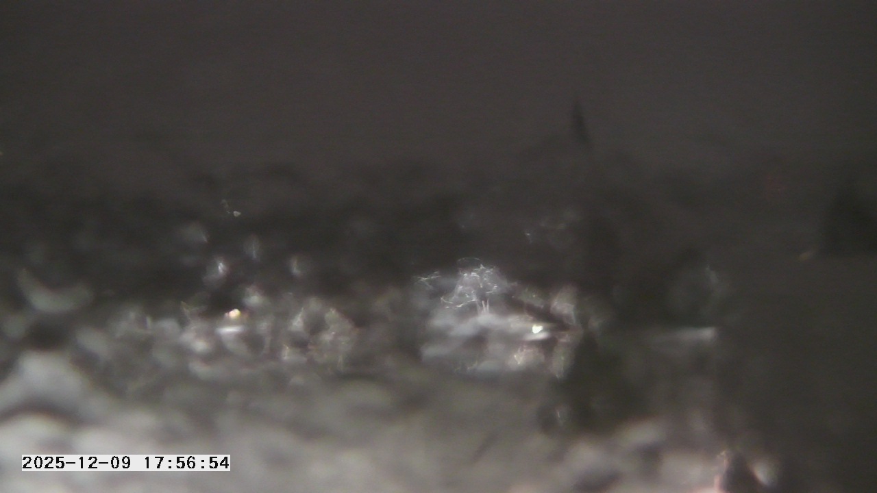 Thumbnail for current weather camera view from St. Michael Catholic School in Prior Lake, Minnesota