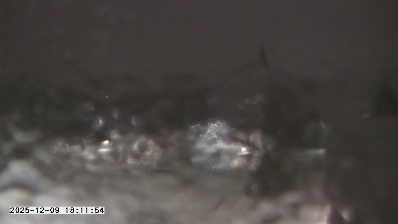 Thumbnail for current weather camera view from St. Michael Catholic School in Prior Lake, Minnesota