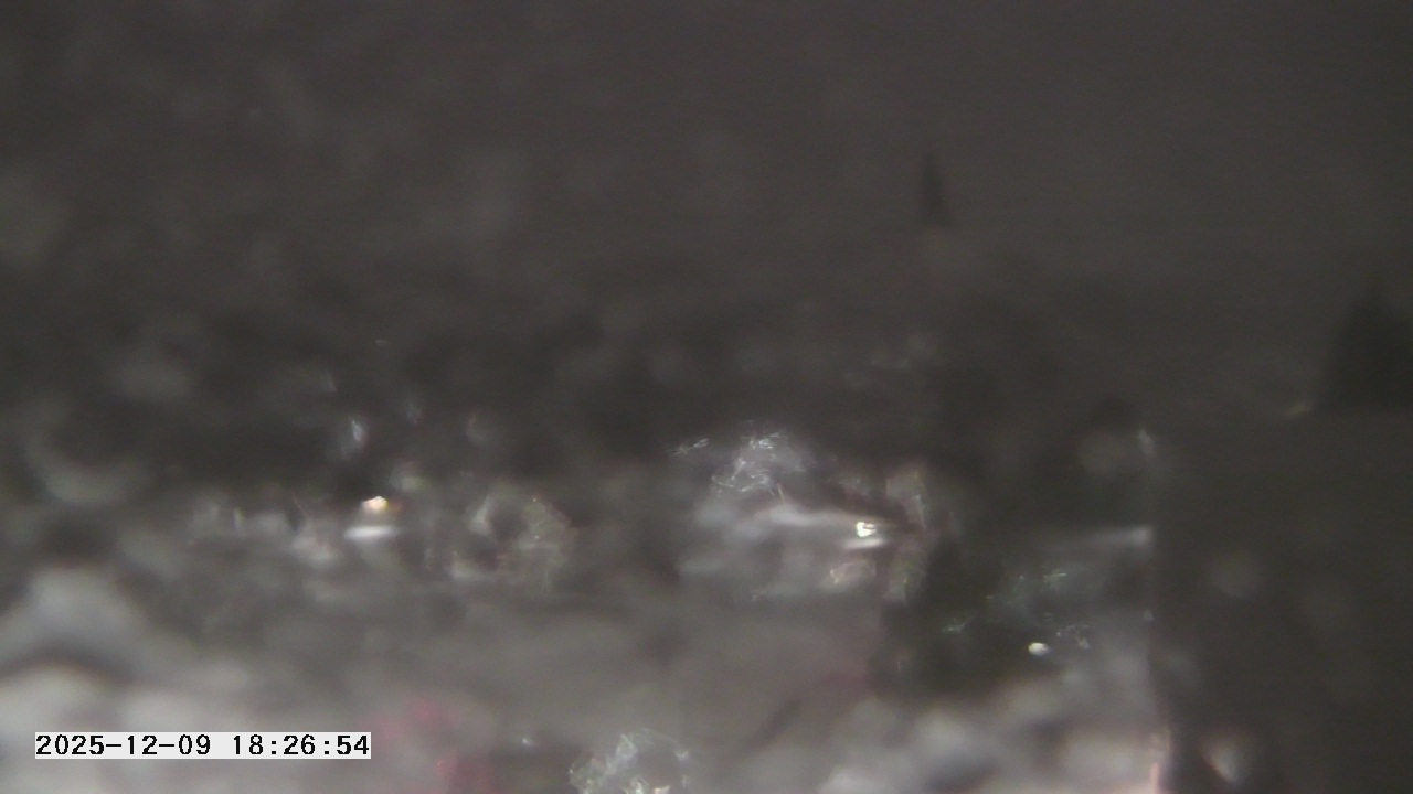 Thumbnail for current weather camera view from St. Michael Catholic School in Prior Lake, Minnesota