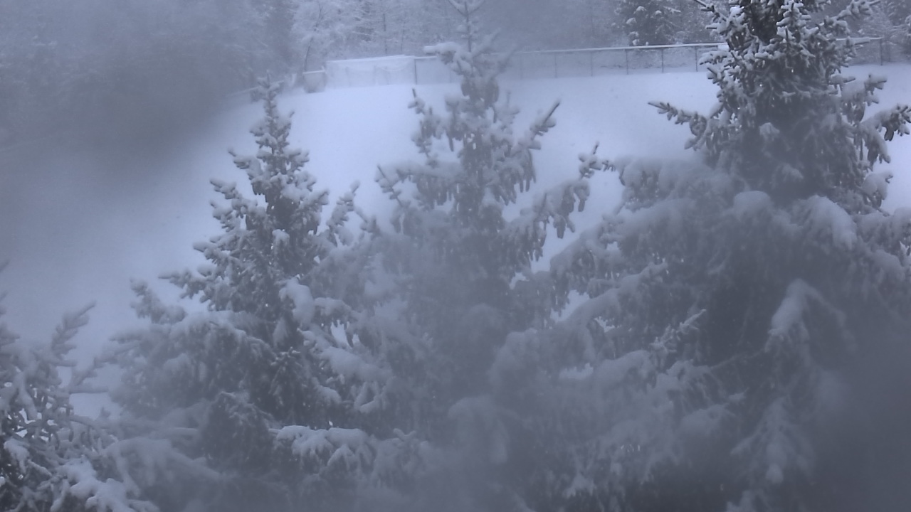 Thumbnail for current weather camera view from Stuart Country Day School in Princeton Township, New Jersey