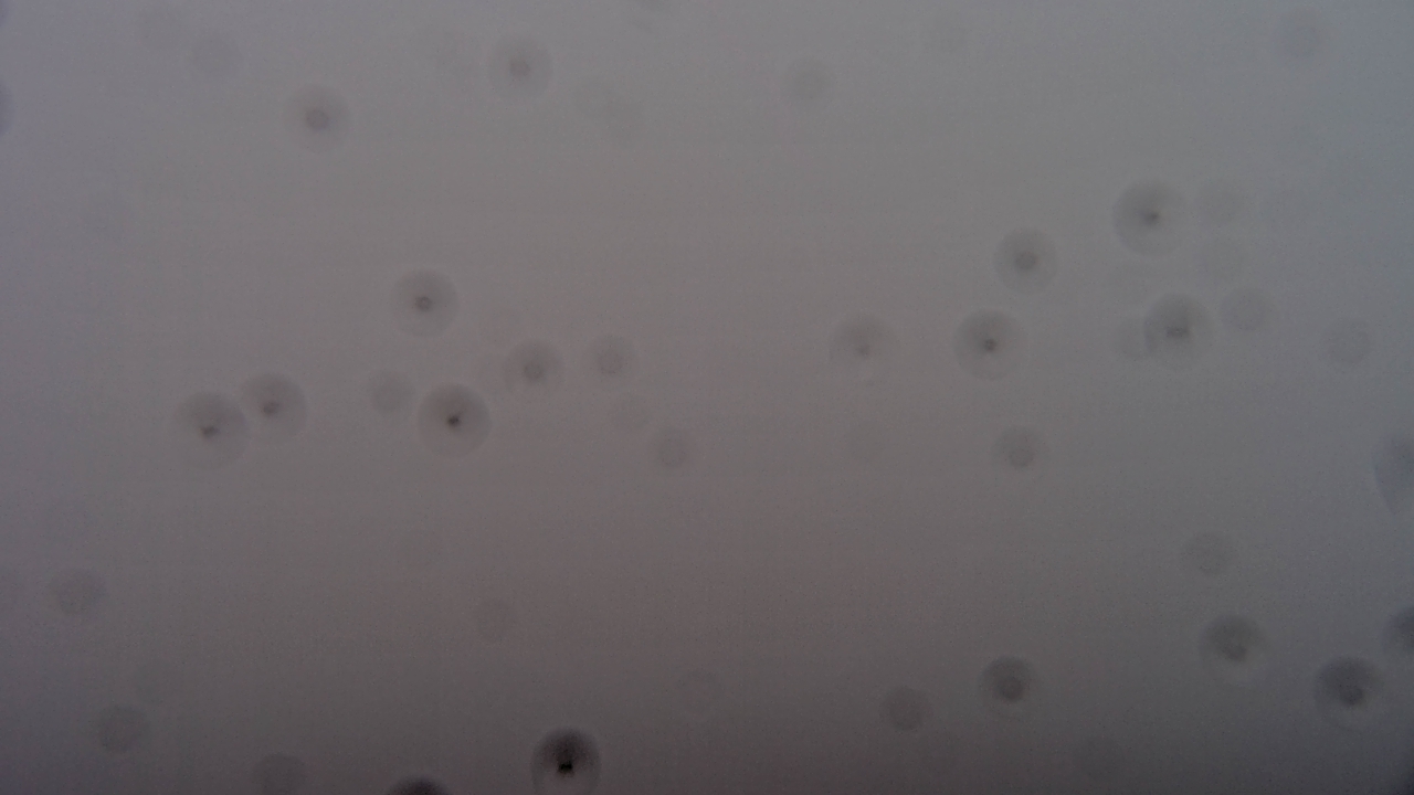 Thumbnail for current weather camera view from Mount Mazazine in Havana, Arkansas