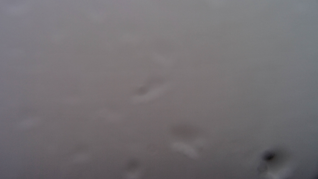 Thumbnail for current weather camera view from Mount Mazazine in Havana, Arkansas