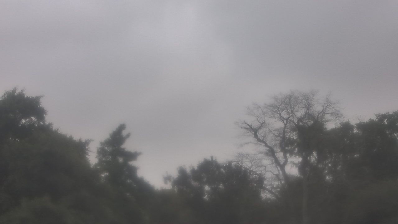 Thumbnail for current weather camera view from Saint Peter School in Point Pleasant Beach, New Jersey