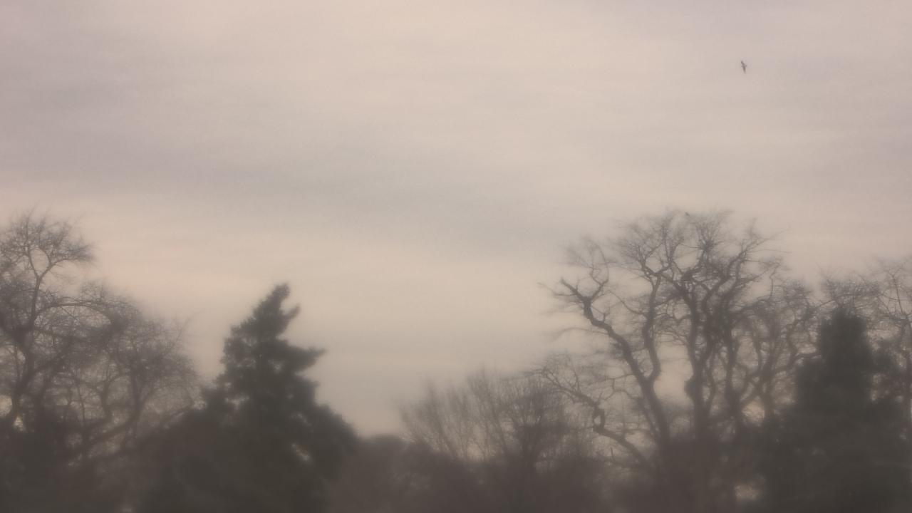 Thumbnail for current weather camera view from Saint Peter School in Point Pleasant Beach, New Jersey