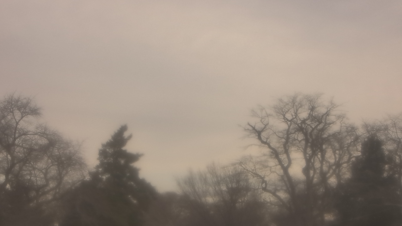 Thumbnail for current weather camera view from Saint Peter School in Point Pleasant Beach, New Jersey