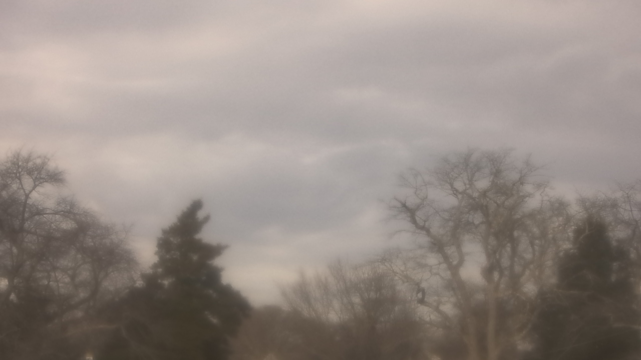 Thumbnail for current weather camera view from Saint Peter School in Point Pleasant Beach, New Jersey