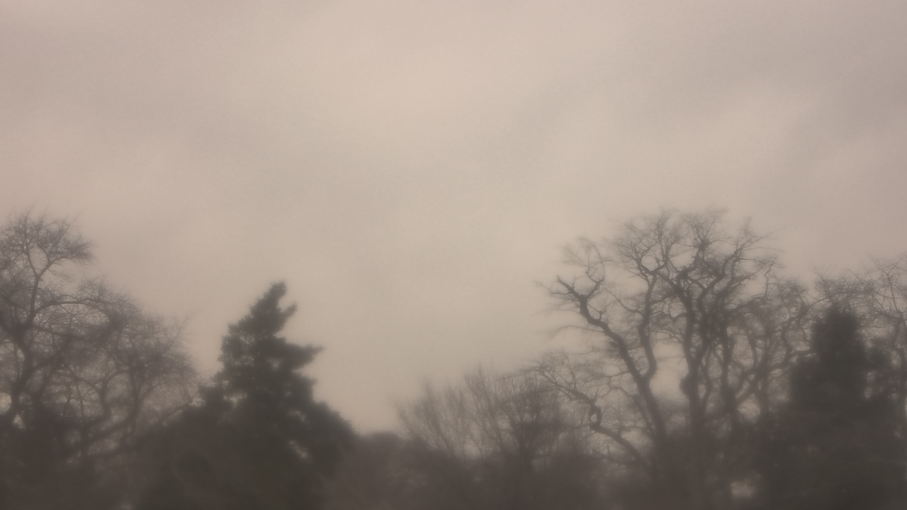 Thumbnail for current weather camera view from Saint Peter School in Point Pleasant Beach, New Jersey