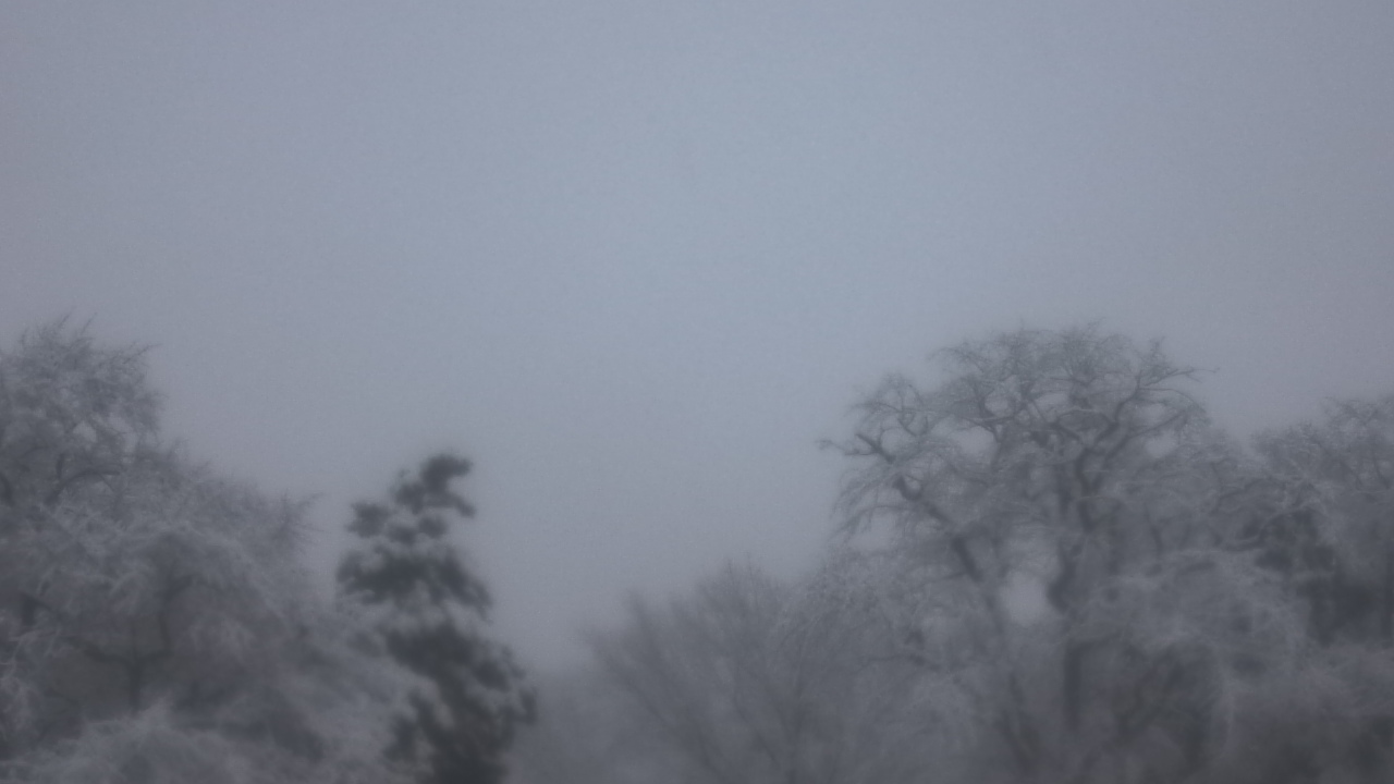 Thumbnail for current weather camera view from Saint Peter School in Point Pleasant Beach, New Jersey