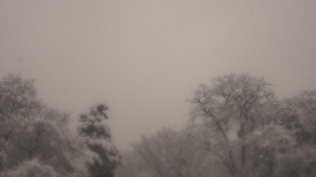 Thumbnail for current weather camera view from Saint Peter School in Point Pleasant Beach, New Jersey