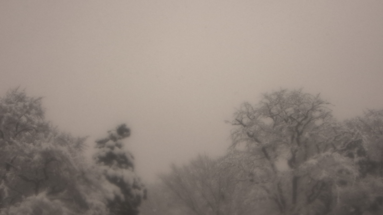 Thumbnail for current weather camera view from Saint Peter School in Point Pleasant Beach, New Jersey