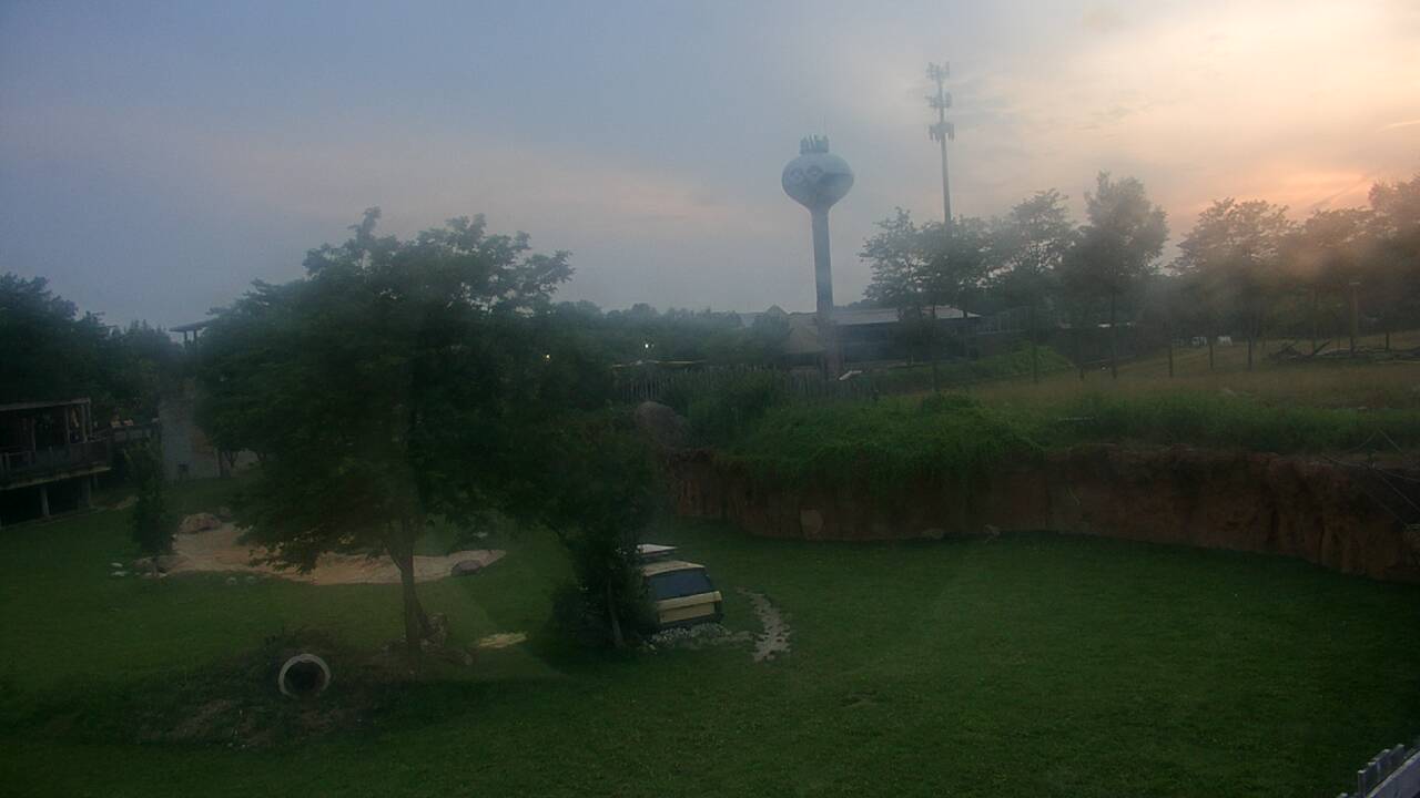 Thumbnail for current weather camera view from Columbus Zoo and Aquarium in Powell, Ohio