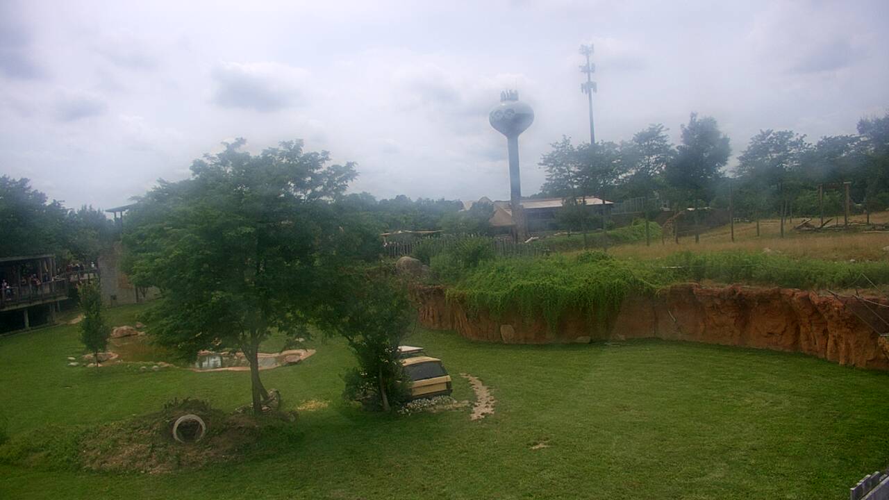 Thumbnail for current weather camera view from Columbus Zoo and Aquarium in Powell, Ohio