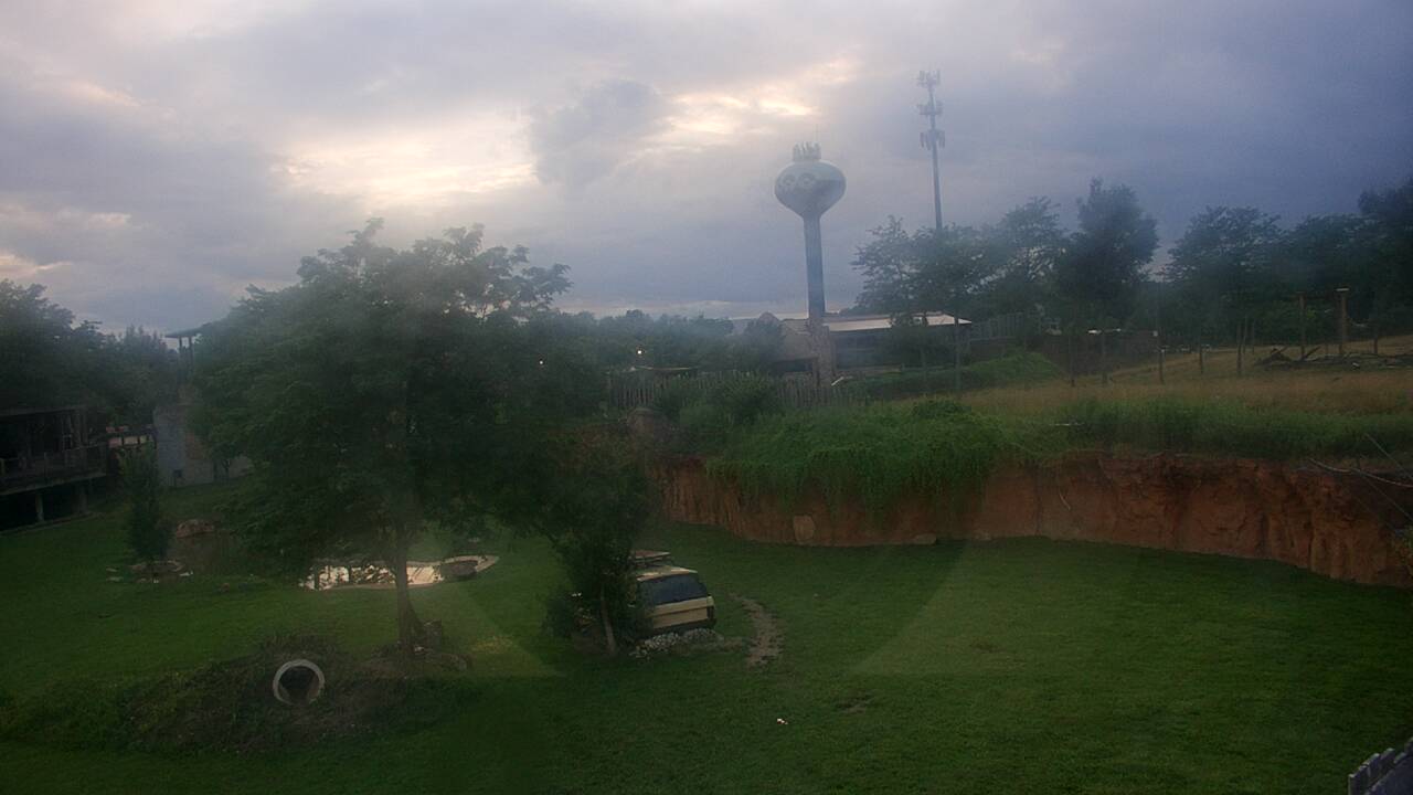 Thumbnail for current weather camera view from Columbus Zoo and Aquarium in Powell, Ohio