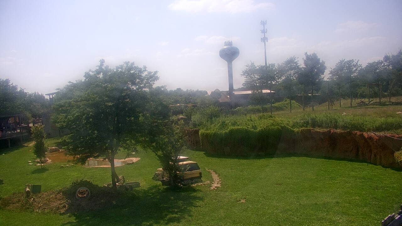 Thumbnail for current weather camera view from Columbus Zoo and Aquarium in Powell, Ohio