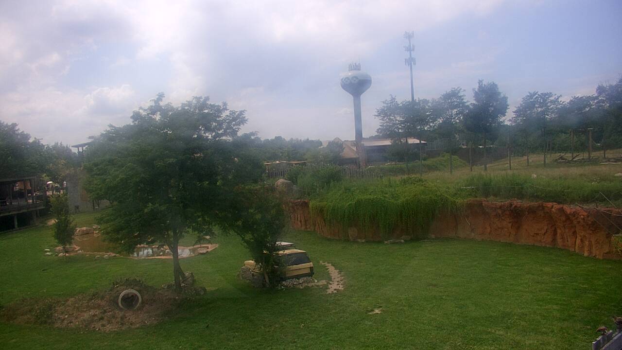Thumbnail for current weather camera view from Columbus Zoo and Aquarium in Powell, Ohio