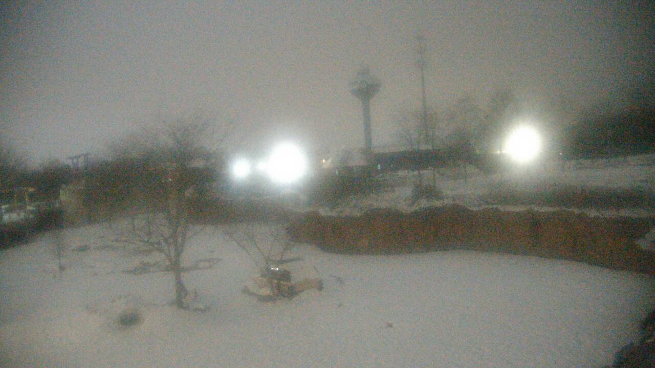 Thumbnail for current weather camera view from Columbus Zoo and Aquarium in Powell, Ohio