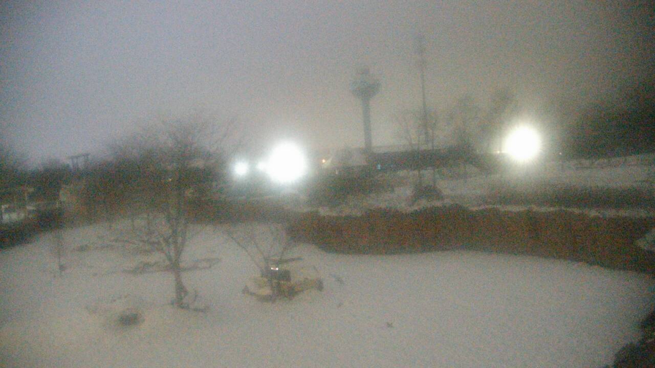 Thumbnail for current weather camera view from Columbus Zoo and Aquarium in Powell, Ohio