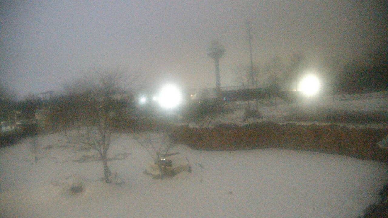 Thumbnail for current weather camera view from Columbus Zoo and Aquarium in Powell, Ohio