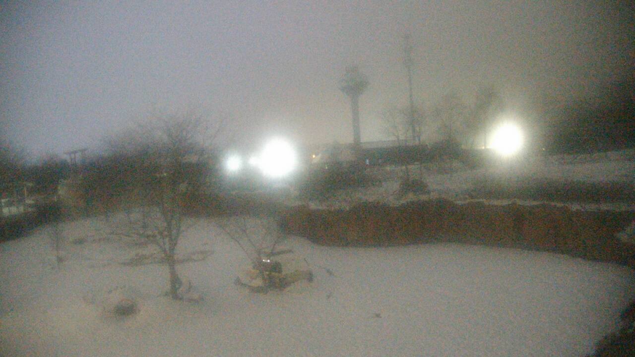 Thumbnail for current weather camera view from Columbus Zoo and Aquarium in Powell, Ohio