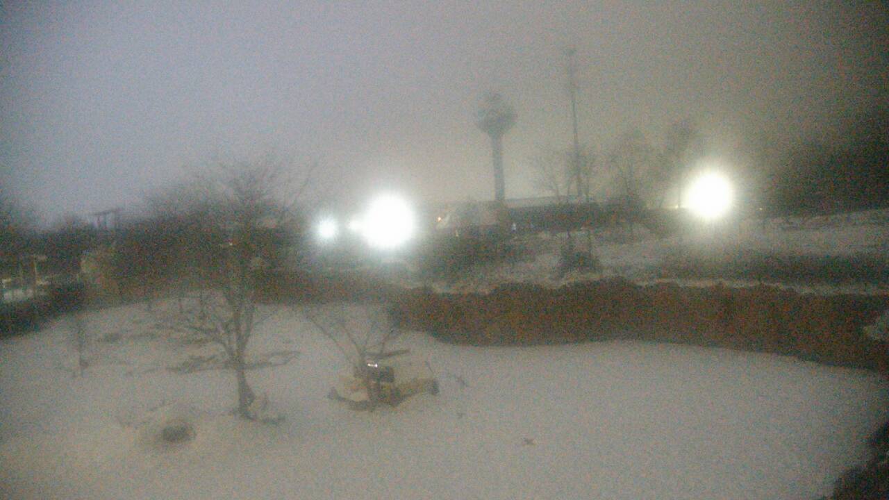 Thumbnail for current weather camera view from Columbus Zoo and Aquarium in Powell, Ohio