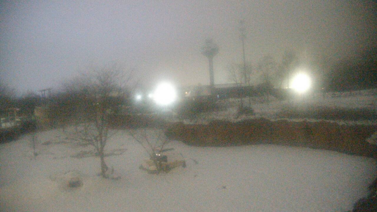 Thumbnail for current weather camera view from Columbus Zoo and Aquarium in Powell, Ohio