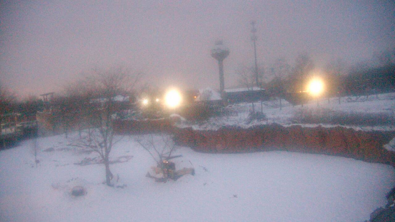 Thumbnail for current weather camera view from Columbus Zoo and Aquarium in Powell, Ohio