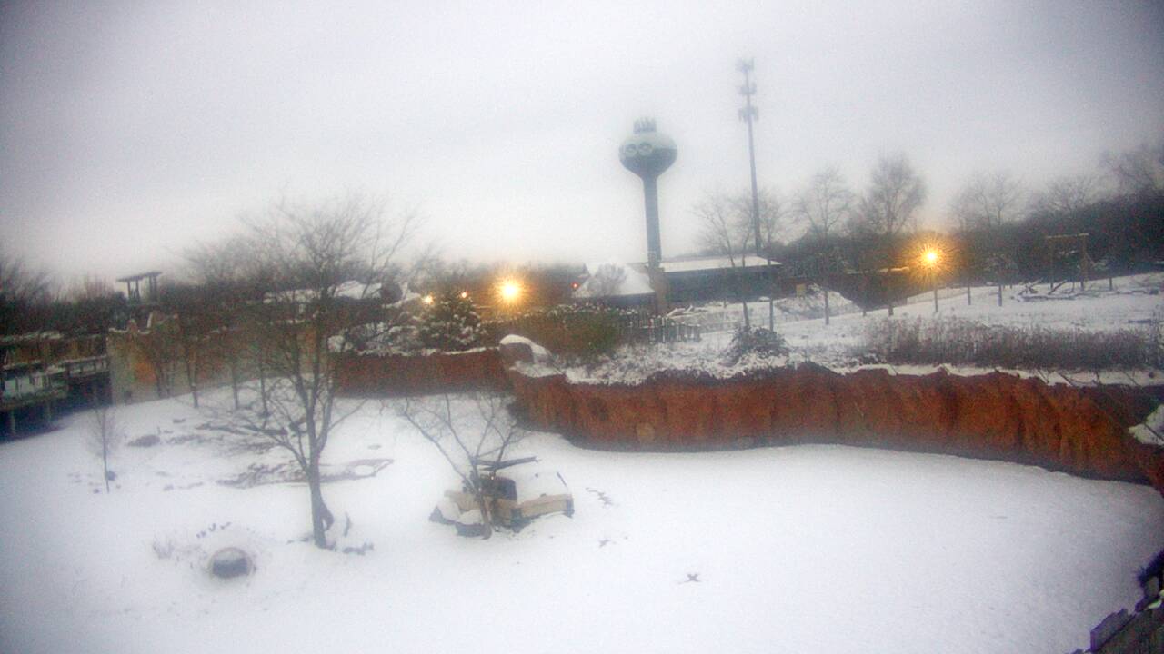 Thumbnail for current weather camera view from Columbus Zoo and Aquarium in Powell, Ohio