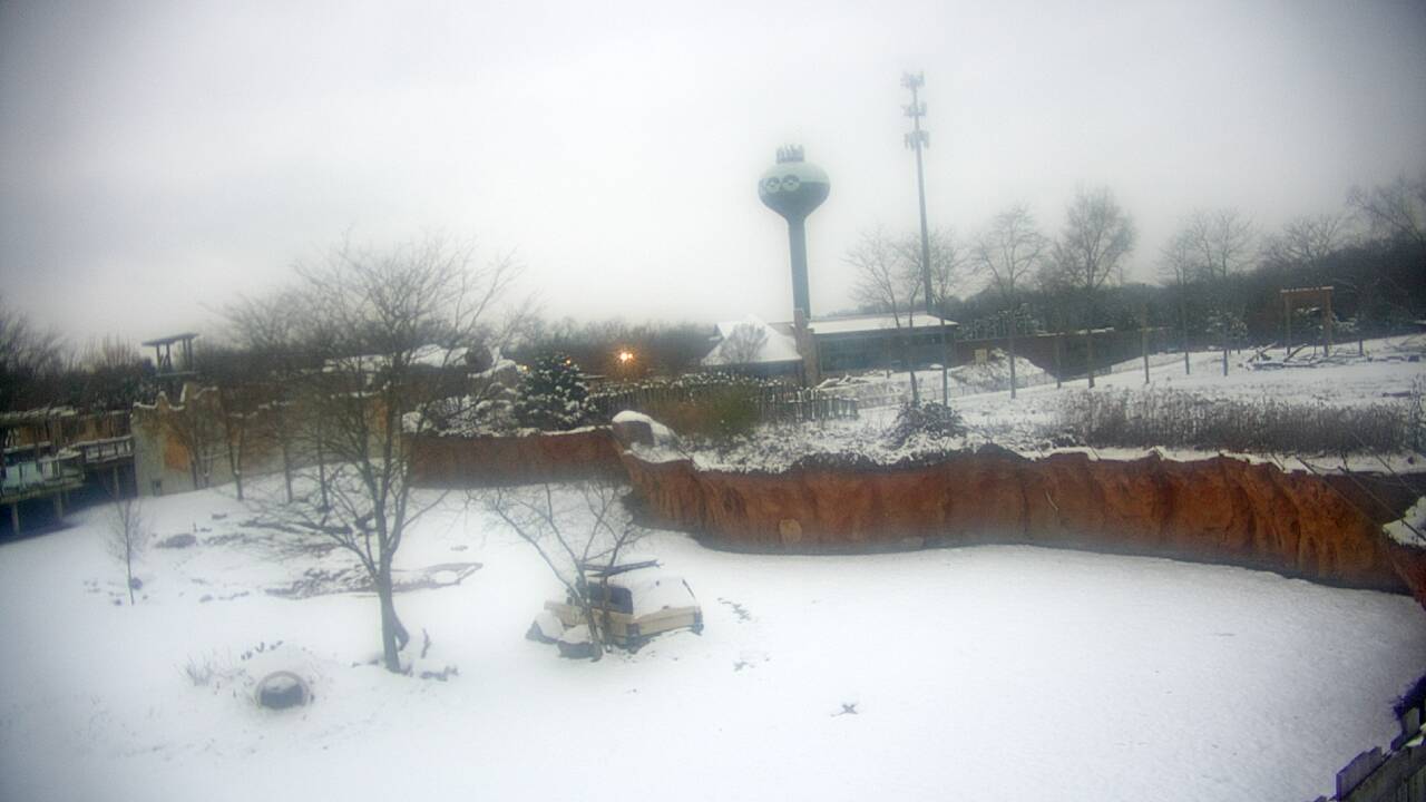 Thumbnail for current weather camera view from Columbus Zoo and Aquarium in Powell, Ohio