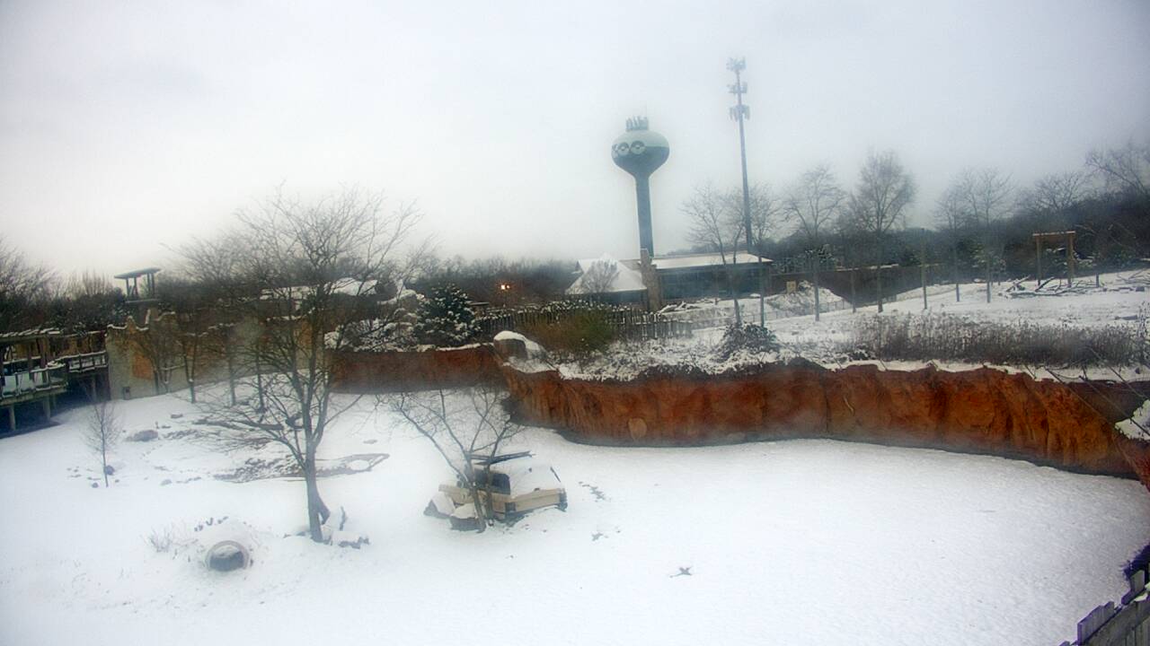 Thumbnail for current weather camera view from Columbus Zoo and Aquarium in Powell, Ohio