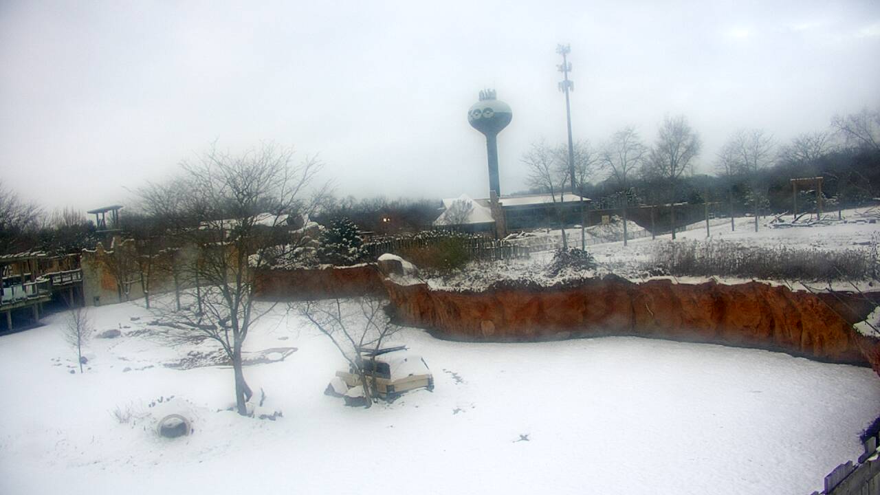 Thumbnail for current weather camera view from Columbus Zoo and Aquarium in Powell, Ohio