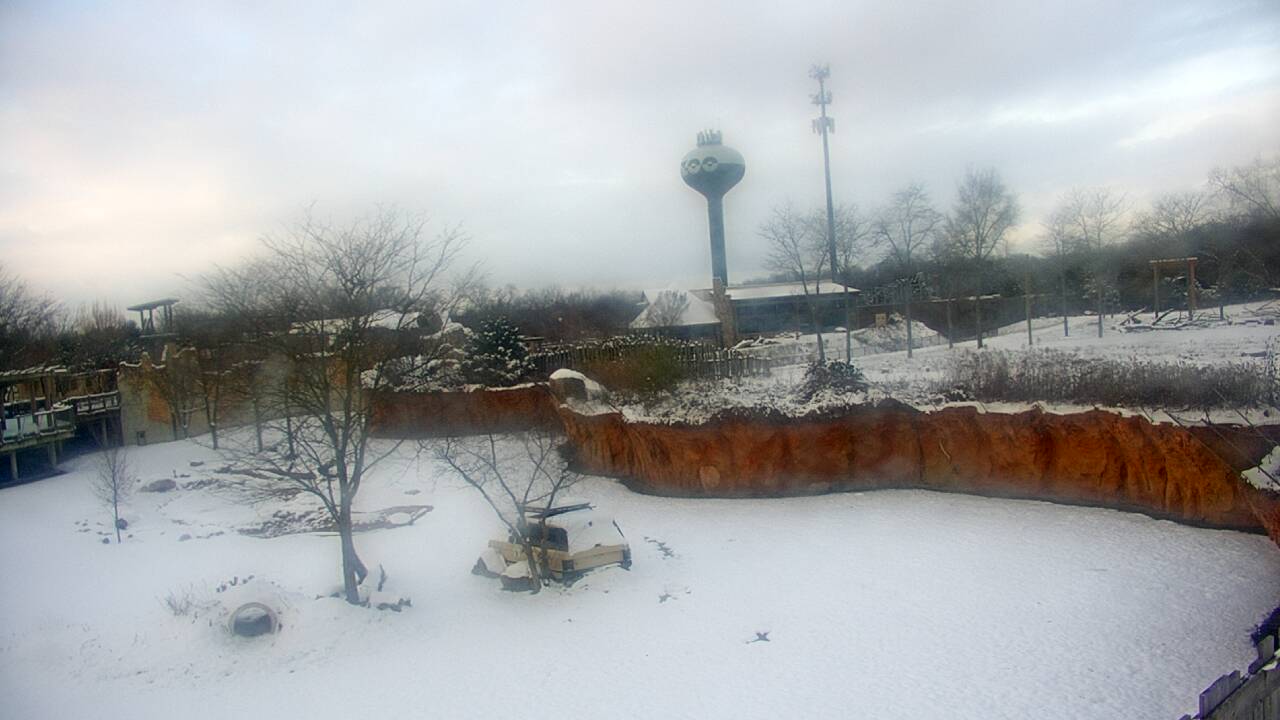 Thumbnail for current weather camera view from Columbus Zoo and Aquarium in Powell, Ohio