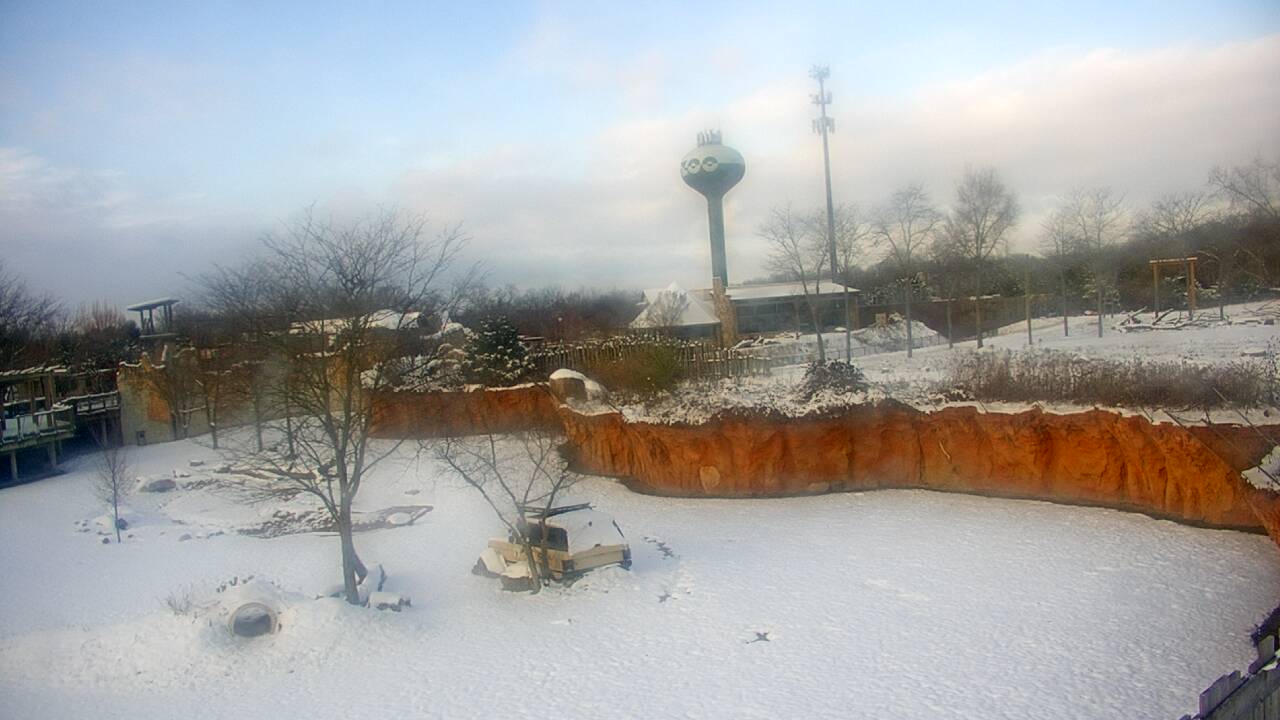 Thumbnail for current weather camera view from Columbus Zoo and Aquarium in Powell, Ohio