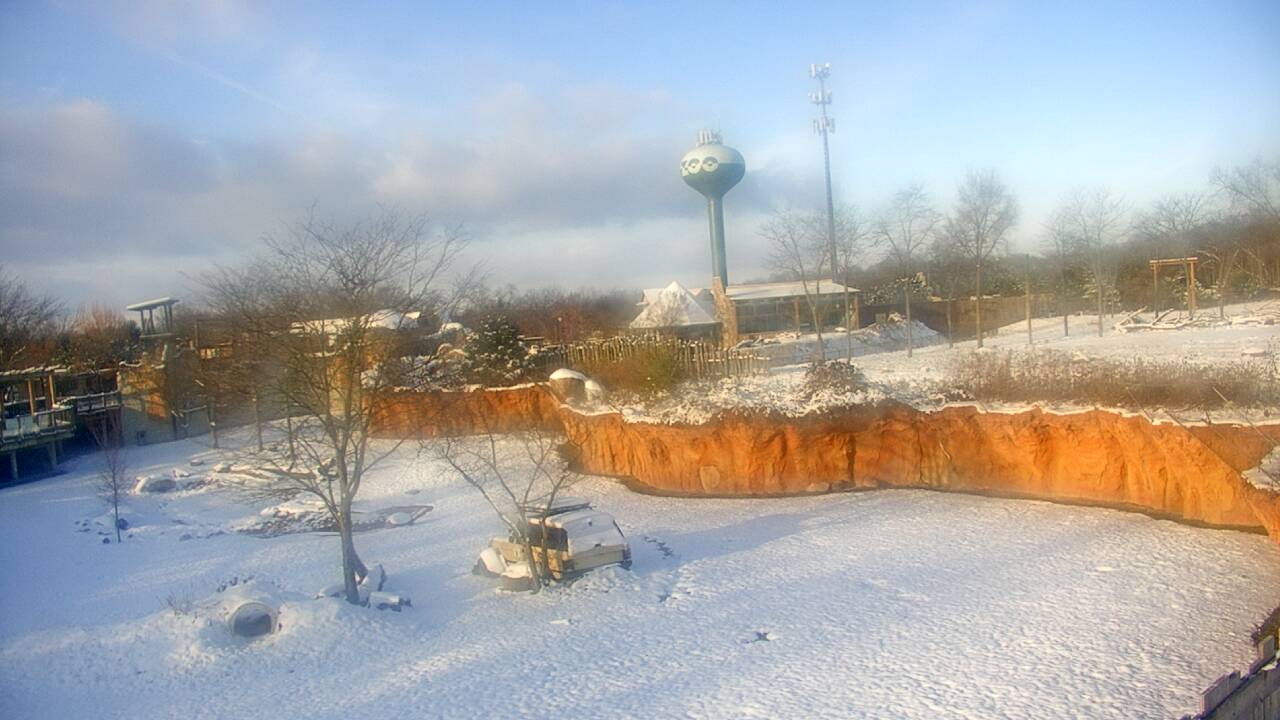 Thumbnail for current weather camera view from Columbus Zoo and Aquarium in Powell, Ohio