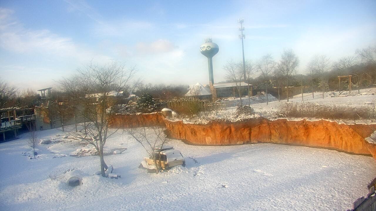 Thumbnail for current weather camera view from Columbus Zoo and Aquarium in Powell, Ohio