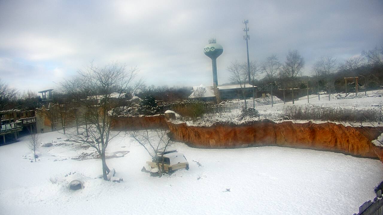 Thumbnail for current weather camera view from Columbus Zoo and Aquarium in Powell, Ohio